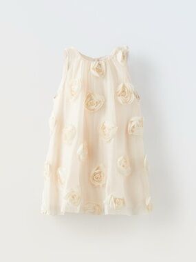 Zara 3D Floral Dress